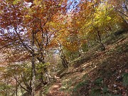 Ai faggi secolari del Menna dal Passo dell’orso ad anello da Zorzone – 27ott25   -  FOTOGALLERY